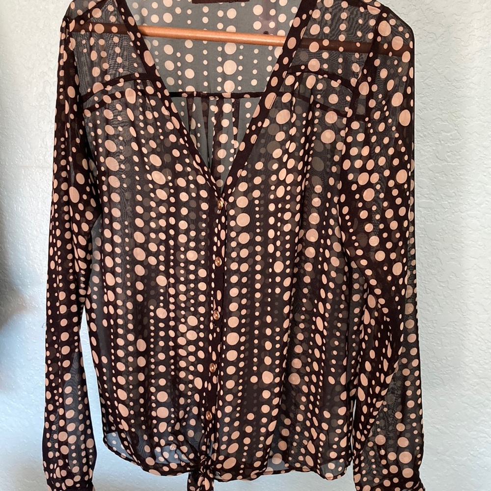 The limited sheer blouse